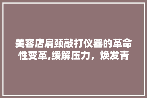 美容店肩颈敲打仪器的革命性变革,缓解压力，焕发青春活力 美容店肩颈敲打仪器的革命性变革,缓解压力，焕发青春活力 家居时尚