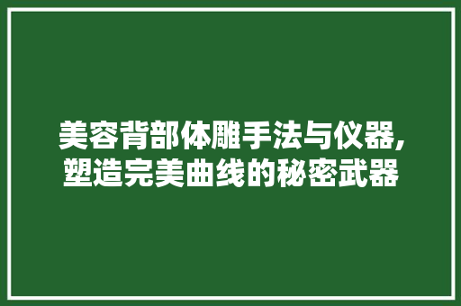 美容背部体雕手法与仪器,塑造完美曲线的秘密武器 美容背部体雕手法与仪器,塑造完美曲线的秘密武器 服饰装扮