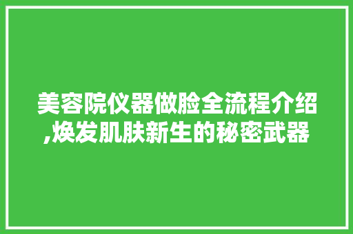 美容院仪器做脸全流程介绍,焕发肌肤新生的秘密武器 美容院仪器做脸全流程介绍,焕发肌肤新生的秘密武器 动手制作