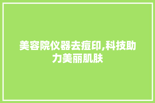 美容院仪器去痘印,科技助力美丽肌肤 美容院仪器去痘印,科技助力美丽肌肤 饮食拾萃