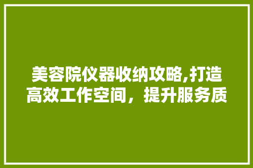 美容院仪器收纳攻略,打造高效工作空间，提升服务质量 美容院仪器收纳攻略,打造高效工作空间，提升服务质量 旅行地理