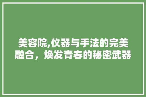 美容院,仪器与手法的完美融合，焕发青春的秘密武器 美容院,仪器与手法的完美融合，焕发青春的秘密武器 家居时尚