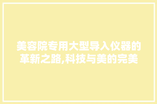 美容院专用大型导入仪器的革新之路,科技与美的完美融合 美容院专用大型导入仪器的革新之路,科技与美的完美融合 服饰装扮