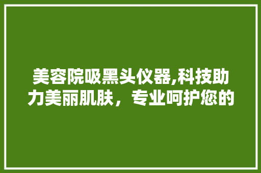 美容院吸黑头仪器,科技助力美丽肌肤，专业呵护您的面子 美容院吸黑头仪器,科技助力美丽肌肤，专业呵护您的面子 家居时尚