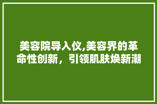 美容院导入仪,美容界的革命性创新，引领肌肤焕新潮流 美容院导入仪,美容界的革命性创新，引领肌肤焕新潮流 饮食拾萃