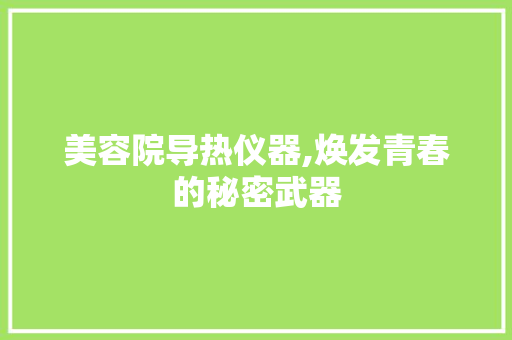 美容院导热仪器,焕发青春的秘密武器 美容院导热仪器,焕发青春的秘密武器 美容塑身
