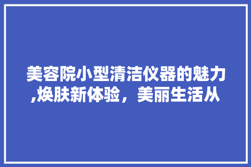 美容院小型清洁仪器的魅力,焕肤新体验，美丽生活从“净”开始 美容院小型清洁仪器的魅力,焕肤新体验，美丽生活从“净”开始 养生保健