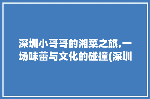深圳小哥哥的湘菜之旅,一场味蕾与文化的碰撞(深圳小哥哥吃湘菜) 深圳小哥哥的湘菜之旅,一场味蕾与文化的碰撞(深圳小哥哥吃湘菜) 饮食拾萃