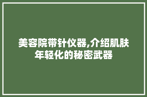 美容院带针仪器,介绍肌肤年轻化的秘密武器 美容院带针仪器,介绍肌肤年轻化的秘密武器 美容塑身