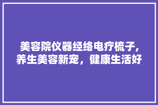 美容院仪器经络电疗梳子,养生美容新宠，健康生活好帮手 美容院仪器经络电疗梳子,养生美容新宠，健康生活好帮手 服饰装扮