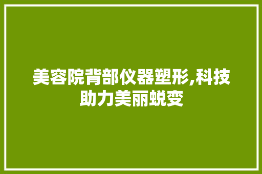 美容院背部仪器塑形,科技助力美丽蜕变 美容院背部仪器塑形,科技助力美丽蜕变 家居时尚