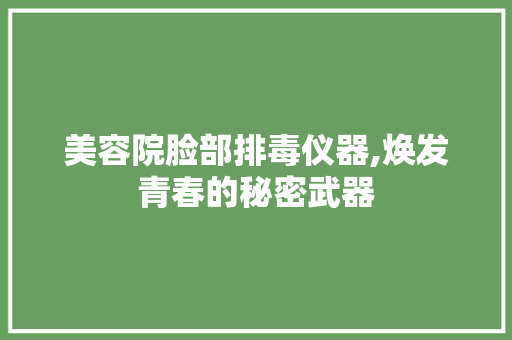 美容院脸部排毒仪器,焕发青春的秘密武器 美容院脸部排毒仪器,焕发青春的秘密武器 服饰装扮