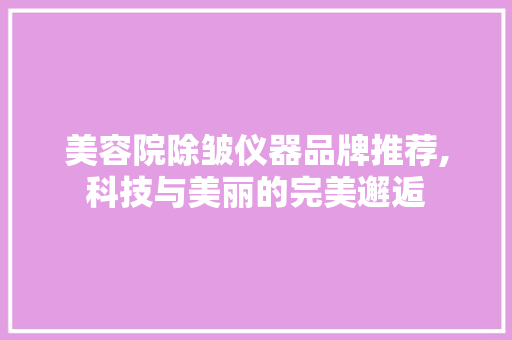 美容院除皱仪器品牌推荐,科技与美丽的完美邂逅 美容院除皱仪器品牌推荐,科技与美丽的完美邂逅 家居时尚