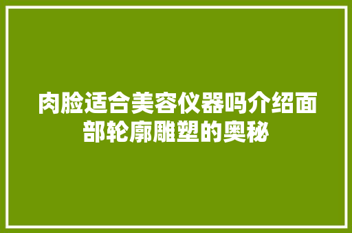 肉脸适合美容仪器吗介绍面部轮廓雕塑的奥秘 肉脸适合美容仪器吗介绍面部轮廓雕塑的奥秘 养生保健