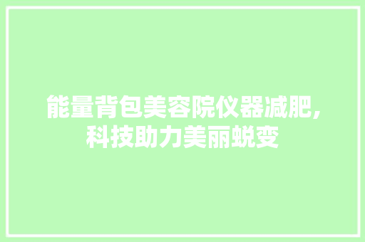 能量背包美容院仪器减肥,科技助力美丽蜕变 能量背包美容院仪器减肥,科技助力美丽蜕变 家居时尚