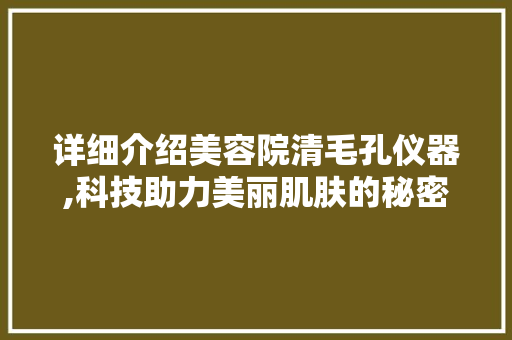 详细介绍美容院清毛孔仪器,科技助力美丽肌肤的秘密武器 详细介绍美容院清毛孔仪器,科技助力美丽肌肤的秘密武器 家居时尚