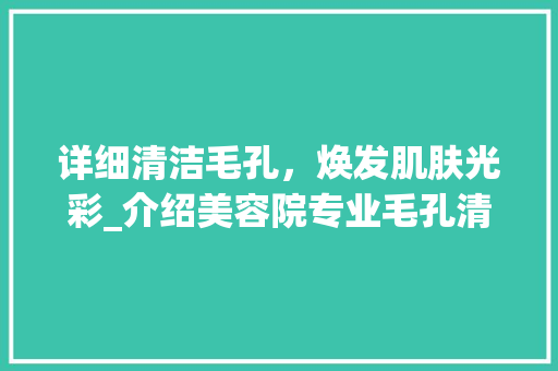 详细清洁毛孔，焕发肌肤光彩_介绍美容院专业毛孔清洁仪器 详细清洁毛孔，焕发肌肤光彩_介绍美容院专业毛孔清洁仪器 养生保健