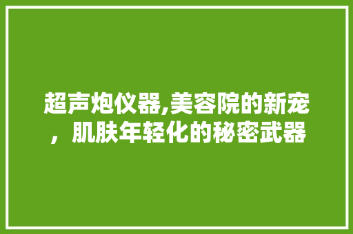 超声炮仪器,美容院的新宠，肌肤年轻化的秘密武器 超声炮仪器,美容院的新宠，肌肤年轻化的秘密武器 养生保健