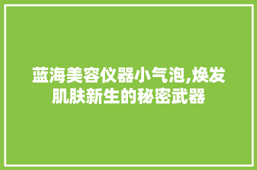 蓝海美容仪器小气泡,焕发肌肤新生的秘密武器 蓝海美容仪器小气泡,焕发肌肤新生的秘密武器 饮食拾萃
