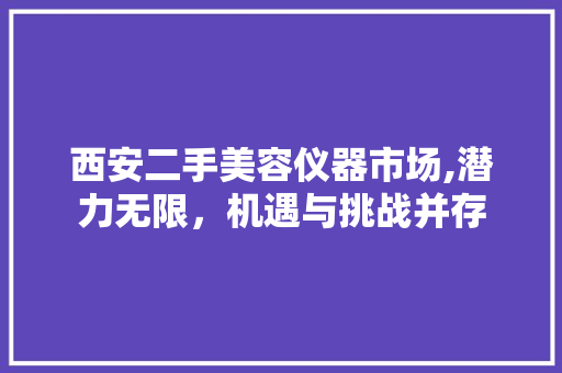 西安二手美容仪器市场,潜力无限，机遇与挑战并存 西安二手美容仪器市场,潜力无限，机遇与挑战并存 养生保健