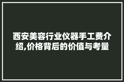 西安美容行业仪器手工费介绍,价格背后的价值与考量 西安美容行业仪器手工费介绍,价格背后的价值与考量 动手制作