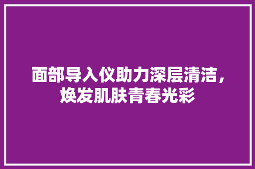 面部导入仪助力深层清洁，焕发肌肤青春光彩 面部导入仪助力深层清洁，焕发肌肤青春光彩 养生保健