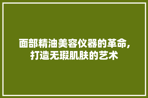 面部精油美容仪器的革命,打造无瑕肌肤的艺术 面部精油美容仪器的革命,打造无瑕肌肤的艺术 美容塑身