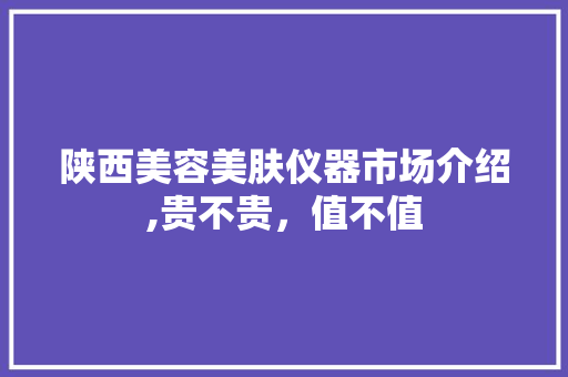 陕西美容美肤仪器市场介绍,贵不贵，值不值 陕西美容美肤仪器市场介绍,贵不贵，值不值 服饰装扮
