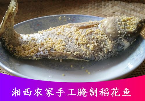 湘菜丫头腌酸鱼的独特魅力,传统工艺与现代美味的完美融合(湘菜丫头腌酸鱼) 湘菜丫头腌酸鱼的独特魅力,传统工艺与现代美味的完美融合(湘菜丫头腌酸鱼) 饮食拾萃