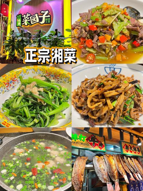 湘菜中的“清泉”_介绍不辣的佳肴之美(湘菜哪个菜没辣椒的) 湘菜中的“清泉”_介绍不辣的佳肴之美(湘菜哪个菜没辣椒的) 饮食拾萃