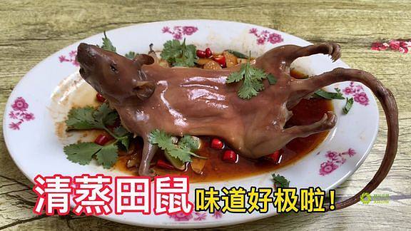 湘菜田鼠,舌尖上的野味传奇(湘菜田鼠的做法视频) 湘菜田鼠,舌尖上的野味传奇(湘菜田鼠的做法视频) 饮食拾萃