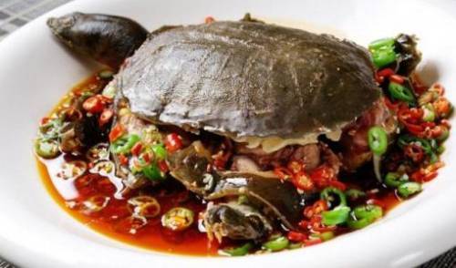 湘菜红烧乌龟,传统佳肴，滋补养生，尽在这一碗！(湘菜红烧乌龟图片大全做法) 湘菜红烧乌龟,传统佳肴，滋补养生，尽在这一碗！(湘菜红烧乌龟图片大全做法) 饮食拾萃