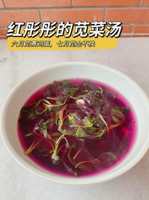 湘菜苋菜汤,鲜香四溢的湖南家常美味(湘菜苋菜汤的做法视频) 湘菜苋菜汤,鲜香四溢的湖南家常美味(湘菜苋菜汤的做法视频) 饮食拾萃