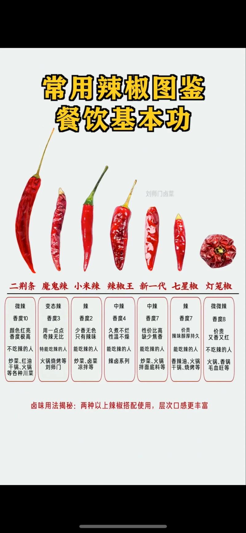 湘菜辣椒的独特魅力,介绍湖南辣椒的品种与烹饪艺术(湘菜辣椒是哪种辣椒图片) 湘菜辣椒的独特魅力,介绍湖南辣椒的品种与烹饪艺术(湘菜辣椒是哪种辣椒图片) 饮食拾萃