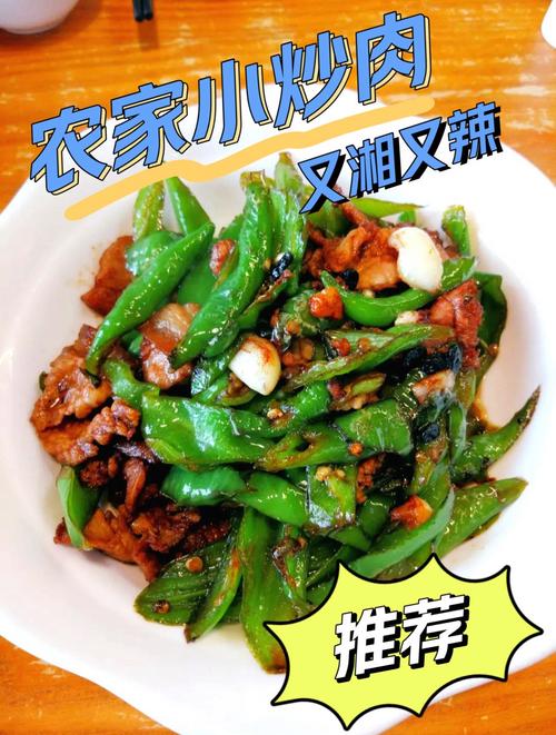 湘韵悠长，家味浓情_老公带娃体验湘菜之美(老公带娃吃湘菜说说) 湘韵悠长，家味浓情_老公带娃体验湘菜之美(老公带娃吃湘菜说说) 饮食拾萃