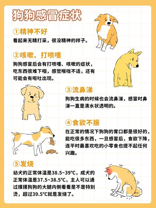 长沙湘菜顾客打喷嚏现象探析(长沙湘菜顾客打喷嚏说说) 长沙湘菜顾客打喷嚏现象探析(长沙湘菜顾客打喷嚏说说) 饮食拾萃
