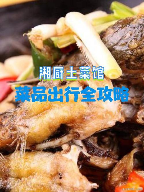 探寻贵州湘菜,招牌名字背后的美食传奇_贵州湘菜招牌名字大全图片 探寻贵州湘菜,招牌名字背后的美食传奇_贵州湘菜招牌名字大全图片 饮食拾萃