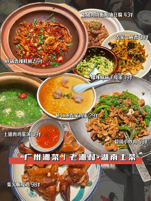 探秘天河区,湘菜风味，舌尖上的湘情_天河区的湘菜有哪些 探秘天河区,湘菜风味，舌尖上的湘情_天河区的湘菜有哪些 饮食拾萃