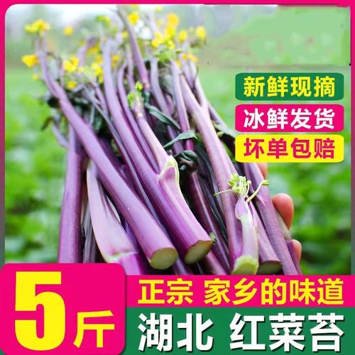 湘菜馆紫色菜心,色香味俱佳的佳肴，唤醒味蕾的美食之旅_湘菜馆紫色菜心怎么炒 湘菜馆紫色菜心,色香味俱佳的佳肴，唤醒味蕾的美食之旅_湘菜馆紫色菜心怎么炒 饮食拾萃