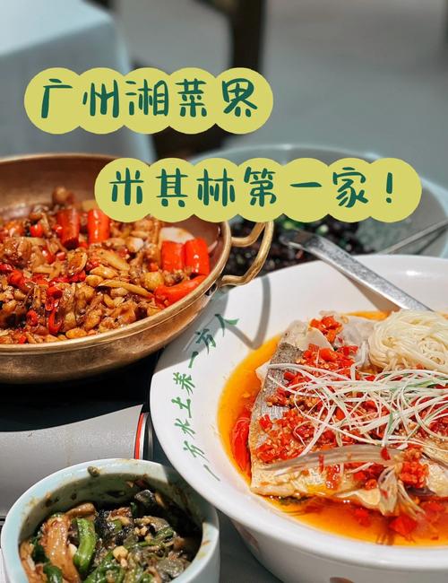 广州湘菜饭店招商公司_美食与商机的交汇点_广州湘菜饭店招商公司地址 广州湘菜饭店招商公司_美食与商机的交汇点_广州湘菜饭店招商公司地址 饮食拾萃