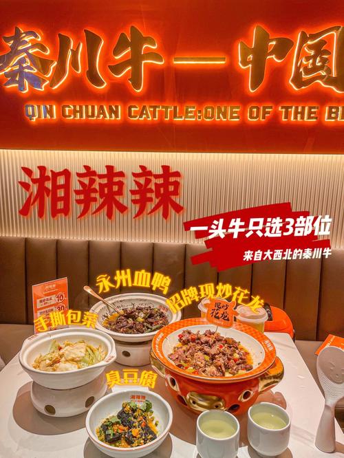 浙江加盟湘菜馆,美食与商业的双赢之路_浙江加盟湘菜馆公司怎么样 浙江加盟湘菜馆,美食与商业的双赢之路_浙江加盟湘菜馆公司怎么样 饮食拾萃