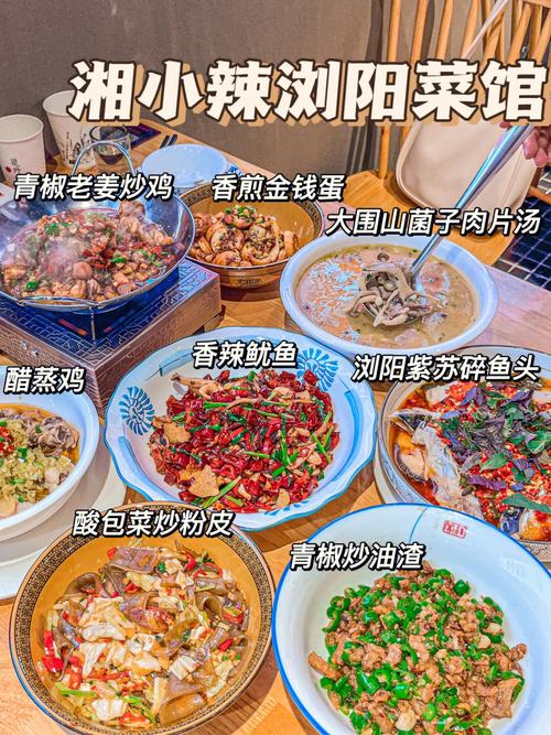浙江湘菜菜馆招商品牌大全,匠心独运，品味非凡_浙江湘菜菜馆招商品牌大全 浙江湘菜菜馆招商品牌大全,匠心独运，品味非凡_浙江湘菜菜馆招商品牌大全 饮食拾萃