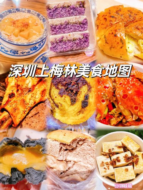 深秋湘韵，梅林地铁站里的美食之旅_探寻深圳上梅林地铁站的特色湘菜_深圳上梅林地铁站的湘菜 深秋湘韵，梅林地铁站里的美食之旅_探寻深圳上梅林地铁站的特色湘菜_深圳上梅林地铁站的湘菜 饮食拾萃