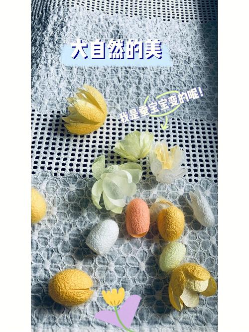 蚕茧美容仪,科技与自然的完美融合，焕发青春活力_蚕茧美容仪器线条教程 蚕茧美容仪,科技与自然的完美融合，焕发青春活力_蚕茧美容仪器线条教程 美容塑身