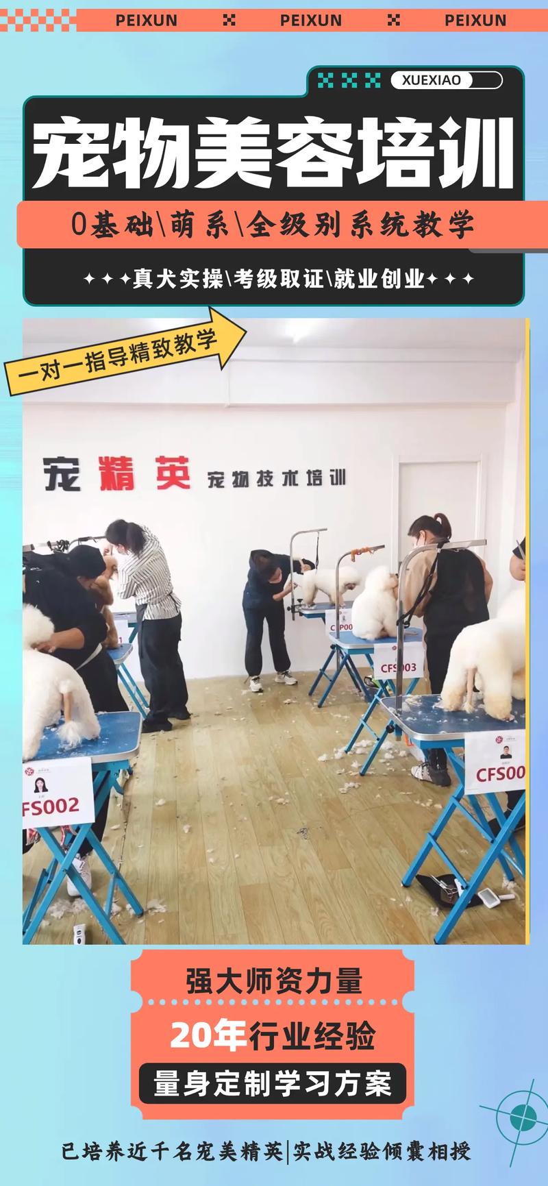 上海宠物美容仪器使用培训,开启宠物美容新篇章 上海宠物美容仪器使用培训,开启宠物美容新篇章 养生保健
