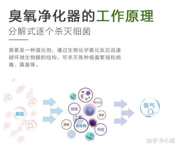 介绍美容仪器臭氧消毒原理,守护美丽，从源头做起 介绍美容仪器臭氧消毒原理,守护美丽，从源头做起 家居时尚