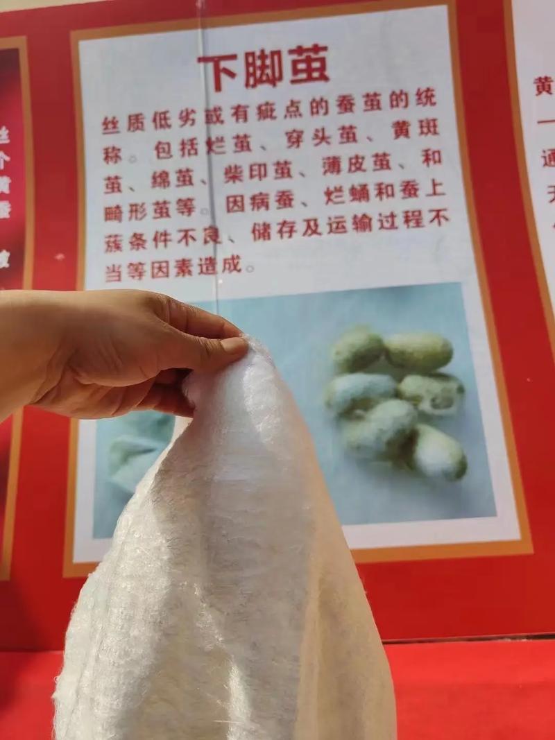 介绍蚕茧美容仪,古老蚕丝的新时代魅力 介绍蚕茧美容仪,古老蚕丝的新时代魅力 动手制作