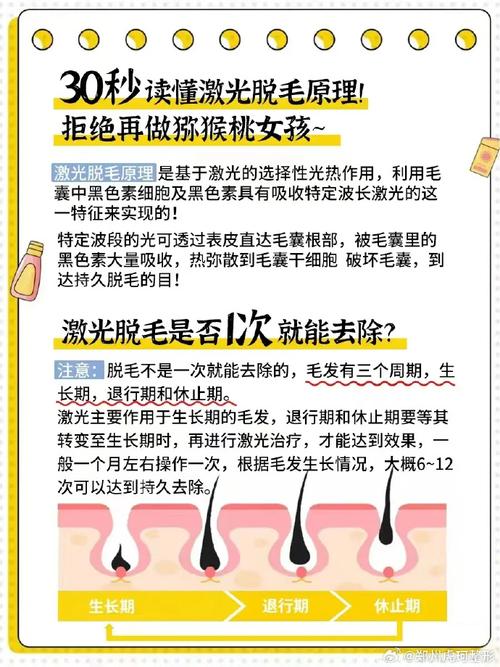 冰点激光脱毛,美容院专业脱毛新选择 冰点激光脱毛,美容院专业脱毛新选择 日用科普