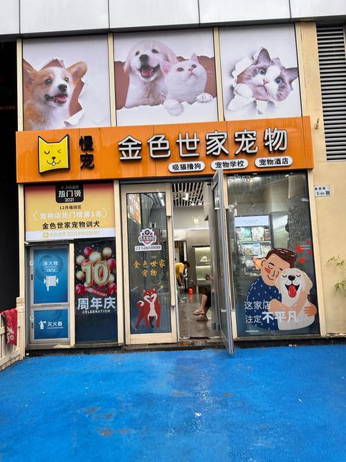 宠物美容院仪器提拉,科技助力宠物美容，打造健康美丽宠物新风尚 宠物美容院仪器提拉,科技助力宠物美容，打造健康美丽宠物新风尚 动手制作