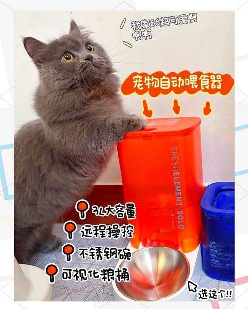 猫咪专用美容仪器,呵护宠物美丽生活的新选择 猫咪专用美容仪器,呵护宠物美丽生活的新选择 饮食拾萃